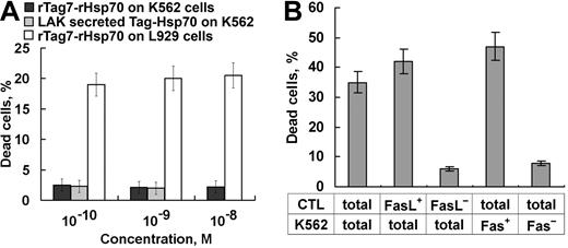 Figure 2. Contrasted susceptibility of target cells to soluble Tag7-Hsp70 and to FasL/Fas-mediated contact killing. (A) K562 cells were incubated for 18 hours with various concentrations of the in vitro assembled 1:1 complex of recombinant Tag7 and Hsp70 (■) and the analogous complex secreted by LAK cells (▩); cytotoxicity of the same recombinant complex toward L929 cells (□) is shown for comparison. (B) Cytotoxicity of CTLs (6-day LAK culture) and their FasL+ and FasL− fractions toward K-562 cells and their Fas+ and Fas− fractions (all separations with antibody-coated magnetic beads), coincubation for 3 hours at 37°C. All data are presented as means (± SEM) in at least 5 independent assays.