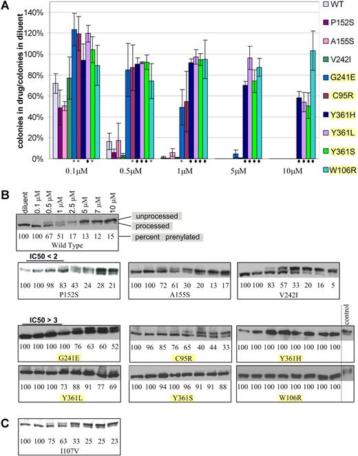 Figure 1. Resistance of BaF3-FPTase β mutants to lonafarnib. (A) Soft agar colony formation in the presence of varying lonafarnib concentrations. Colony formation is shown as a ratio of colonies formed in the presence of lonafarnib to colonies formed in diluent alone. t test: *P < .05; ♦P < .01. Error bars are standard errors. (B) Immunoblot of the HDJ2 biomarker. Prenylated (processed) versus unprenylated (unprocessed) HDJ2 can be discerned at varying lonafarnib concentrations. Mutations with P < .05 in the soft agar colony assay are highlighted. (C) Immunoblot of the I107V mutation identified in a patient sample, and not in the random mutagenesis.