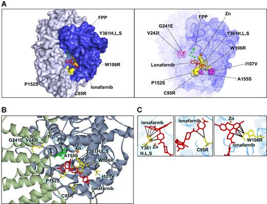 Figure 3. Modeling of FTase β mutations onto the lonafarnib/FPTase cocrystal structure. (A, left) Four of the mutated residues found are on the molecular surface of the active site (C95R, W106R, P152S, and Y361H,L,S; surfaces of the corresponding amino acid side chains are denoted in yellow). (A, right) Mapping of all the residues for which mutations were identified. Purple indicates residues that are not directly on the surface of the active site. (B) Close-up view of the residues identified. (C) A close-up view of residues in close proximity with lonafarnib (W106, Y361, and C95). Black lines mark distances of less than 4 Å.