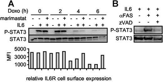 Figure 5. STAT3 phosphorylation is abrogated during apoptosis. (A) Ba/F3-gp130/IL6R cells were washed 3 times and incubated for 0 hour, 2 hours, 4 hours, and 6 hours with 500 ng/mL doxorubicin in serum-free medium in the absence of IL6. The metalloprotease inhibitor marimastat was added as indicated to prevent IL6R shedding at a concentration of 10 μM. After the incubation period, the cells were centrifuged and resuspended in medium containing IL6 (200 ng/mL) or without IL6 as control for 10 minutes. The cells were immediately lysed and the proteins were immunoblotted with an anti–p-STAT3 antibody. Reprobing with an anti-STAT3–specific antibody ensured comparable protein loading. The relative IL6R cell surface expression was analyzed by flow cytometry (B) Supernatants of viable, αFas (CH-11)–treated and αFas + zVAD-fmk–treated HepG2 cells expressing the hIL6R were supplemented with 200 ng/mL IL6. After an incubation period of 30 minutes, the supernatants were used for stimulation of Ba/F3-gp130 cells for 10 minutes. Detection of p-STAT3/STAT3 was performed as described in panel A.