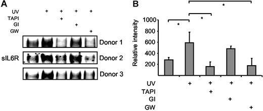 Figure 6. Human neutrophils release IL6R upon induction of apoptosis. Peripheral blood neutrophils from 3 different donors were adjusted to 106 cells/mL and were UV treated (200 000 μJ/cm2) or left untreated for 6 hours. The metalloprotease inhibitors TAPI (10 μM), GI254023X (3 μM), or GW280264X (3 μM) were added 30 minutes prior to UV stimulation. (A) Immunoprecipitated sIL6R was analyzed by Western blot as before. (B) Band intensities were quantified using ImageJ software (National Institutes of Health, Bethesda, MD), and relative values represent the mean (± SD; *P ≤ .05) from the 3 independent donor experiments shown in panel A.