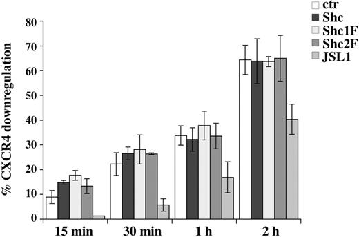 Figure 5. Mutation of YY239/240 or Y317 of p52Shc does not affect ligand-dependent CXCR4 internalization. Flow cytometric analysis of surface CXCR4 on Jurkat T cell transfected with empty vector or stably expressing HA-tagged p52Shc or the Shc1F/Shc2F mutants, or JSL1 cells, after treatment for the indicated times with SDF-1α at 37°C. The results are plotted as percentage CXCR4 internalization (n ≥ 3). Error bars indicate SD.