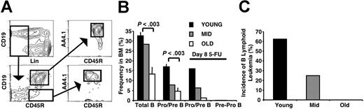 Figure 2. B-lymphoid leukemogenic potential declines in parallel with age-related declines in B lymphopoiesis. (A) Immunostaining used to define pre-pro-B cells (Lin− CD19−CD45R+AA4.1+) and pro/pre-B cells (Lin− CD19+CD45R+AA4.1+) in murine BM. (B) The frequency of lymphoid progenitor populations in the BM progressively declined in mice of increasing age. Groups of young (5- to 7-week-old; n=4), middle-aged (42- to 44-week-old; n=2), and old (90- to 104-week-old; n=3) mice were analyzed. Steady-state frequencies are presented as the mean plus or minus SEM. 5-FU frequencies are presented from the pooled BM of 4 young, 7 middle-aged, and 4 old mice. Total B-lineage cells represents CD19+CD45R+ cells. Pre-pro-B-cell frequencies were 0.103% in young, 0.073% in middle-aged, and 0.01% in old 5-FU–treated mice, respectively. (C) The incidence of B-lymphoid leukemia in Rag1−/− recipients of BMBCR-ABL cells was reduced with increasing BM age. Recipients of middle-aged (n=8) BMBCR-ABL cells developed B-lymphoid leukemia less frequently than recipients of young (n=8) BMBCR-ABL cells but more frequently than recipients of old (n=7) BMBCR-ABL cells. The recipients of young and old BMBCR-ABL are the same as those shown in Figure 1F.