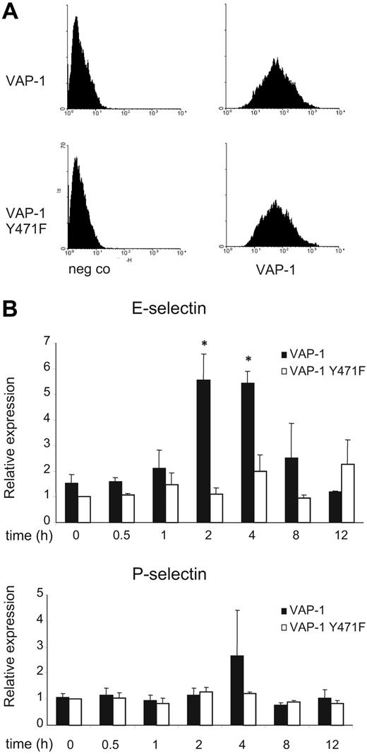 Figure 1. Time-dependent induction of E- and P-selectin transcription through VAP-1/SSAO signaling. (A) HUVECs were infected with wild-type (VAP-1) or an enzymatically inactive mutant of VAP-1 (VAP-1 Y471F) and stained with anti–VAP-1 and negative control mAbs for fluorescence-activated cell sorter (FACS) analyses. (B) The transfected cells were analyzed for E-selectin and P-selectin mRNA expression after methylamine administration using real-time PCR. Relative expression levels (means ± SEM) at the indicated time points are shown. Three samples of HUVECs from different individuals were used for each time point. *P < .05