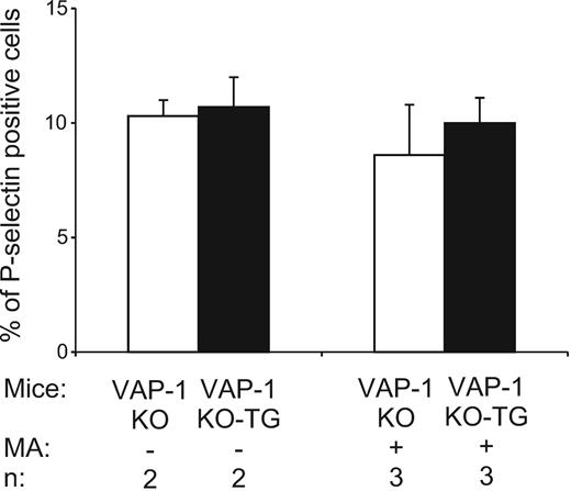 Figure 5. VAP-1/SSAO does not induce P-selectin in platelets. Expression of P-selectin on the surface of platelets in resting and methylamine-fed (3 days) VAP-1 KO and VAP-1 KO-TG mice was determined. The data are shown as percentage of cells expressing P-selectin on the cell surface (means ± SEM).