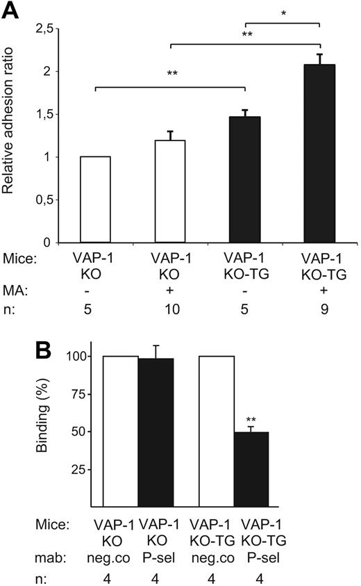 Figure 6. P-selectin induced by VAP-1 is functional in vivo. (A) Frozen section binding assays were used to analyze lymphocyte binding to HEVs in mesenteric lymph nodes obtained from VAP-1 KO mice and VAP-1 KO-TG mice, which were treated or not treated with methylamine in the drinking water. Lymphocytes were from nontreated wild-type animals. The results are shown as relative adhesion ratios (mean ± SEM), in which the number of HEV-bound lymphocytes in VAP-1 KO in the absence of methylamine treatment is 1.0 by definition. (B) The function of P-selectin was blocked by preincubating the sections with anti–P-selectin antibody (or control antibody) before the binding assays. The results are shown as percentage of control binding (number of HEV-bound lymphocytes in the presence of nonblocking control mAb) (mean ± SEM). n = number of mice in each group. *P < .05, **P < .01.
