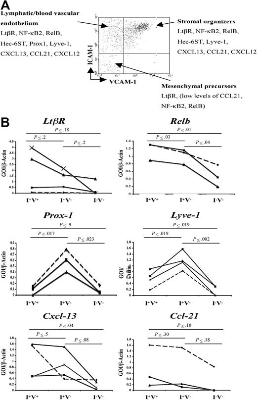 Figure 2. Gene expression analysis of newborn LN stromal cells. (A) FACS analysis of P2 iLN CD45− cells stained for VCAM-1 and ICAM-1. Each cell population was isolated to prepare cDNA and assessed for the expression of several genes by semiquantitative PCR. According to their gene expression patterns, the cells were classified in putative mesenchymal precursor cells (V−/I−), stromal organizer cells (V+/I+), and lymphatic/vascular endothelium (V−/I+). (B) Semiquantitative PCR analysis of the Ltbr and Nfkb genes involved in this pathway (Nfkb2, Relb), hyaluronan receptor (Lyve-1 and Prox-1), and chemokines (Cxcl13, Ccl21) in the 3 stromal cell populations present in P2 iLNs. Ratio of gene of interest (GOI) to β-actin is shown. Results shown correspond to 3 to 4 independent cell sorting and PCR experiments (Experiment 1, ♦; Experiment 2, ■; Experiment 3, ▴; and Experiment 4, ×). Statistical analysis was performed using the 2-tail t test. Statistically significant differences, as calculated by the P value, in the expression of specific genes in the 3 cell populations are shown in bold.
