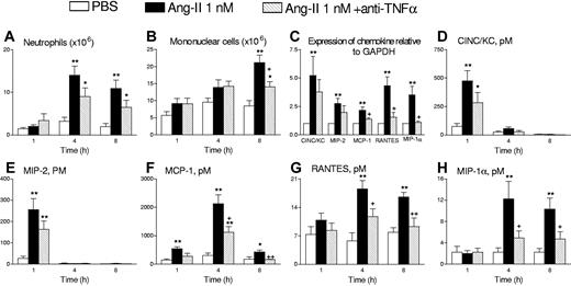 Figure 2. Effects of an antirat TNFα antiserum on Ang-II-induced leukocyte accumulation and chemokine mRNA expression and generation in the rat peritoneal cavity. Neutrophil accumulation (A), mononuclear leukocyte accumulation (B), chemokine mRNA expression (C), and the generation of CINC/KC (D), MIP-2 (E), MCP-1 (F), RANTES (G), and MIP-1α (H) in the rat peritoneal cavity. Cell counts and chemokine levels in the peritoneal exudate as well as chemokine mRNA expression in the mesenteric tissue were determined in the following experimental groups: untreated rats intraperitoneally injected with 5 mL PBS, untreated rats exposed to 1 nM Ang-II intraperitoneally, and Ang-II-exposed rats pretreated with the antirat TNFα antiserum (1 mL per rat intravenously) 15 minutes prior to Ang-II intraperitoneally. Results are the mean (± SEM) for 5 to 8 animals per group. *P < .05 or **P < .01 relative to values in the PBS-injected group; + P < .05 or ++ P < .01 relative to the Ang-II untreated group.