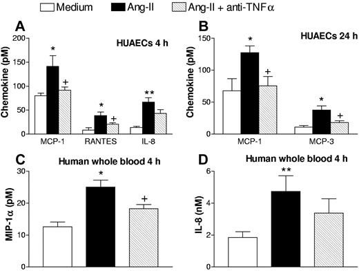 Figure 7. Effect of a neutralizing antihuman TNFα mAb on Ang-II-induced MCP-1, RANTES, IL-8, and MCP-3 release from HUAECs, MIP-1α, and IL-8 release in human whole blood. HUAECs and human whole blood were stimulated with Ang-II (1 μM) or with 1 μM Ang-II plus anti-TNFα mAb (2 μg/mL). The release of MCP-1, RANTES, and IL-8 at 4 hours (A) and MCP-1 and MCP-3 at 24 hours (B; pM in the cell supernatant) as well as the release of MIP-1α (C) and IL-8 (D; pM in the plasma) in response to Ang-II was measured by ELISA and is expressed as mean (± SEM) of 4 to 6 experiments: *P < .05 or **P < .01 relative to values in the medium control group; + P < .05 relative to the 1 μM Ang-II group.