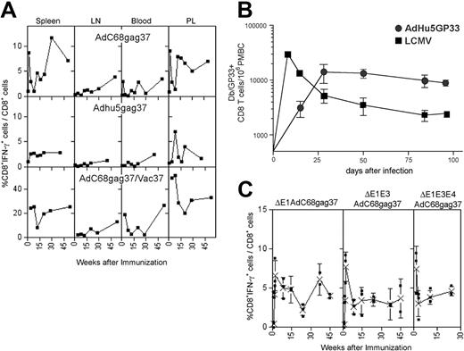 Figure 1. Kinetics of the Gag-specific CD8+ T-cell response. (A) Top panels: Groups of 5 BALB/c mice injected intramuscularly with 1011 vp of AdC68gag37 or 5 × 1011 vp of AdHu5gag37 vector were killed at different times. Lymphocytes isolated from indicated compartments were tested for Gag-specific IFN-γ–producing CD8+ cells by intracellular cytokine staining and analyzed by 2-color flow cytometry.6 Results show frequencies of CD8+ cells producing IFN-γ as a percentage of all CD8+ cells from a representative experiment (top panels). Frequencies of Gag-specific CD8+ T cells in BALB/c mice immunized with 5 × 1011 vp of AdC68gag37 and boosted 2 months later with 106 plaque forming units (pfu) of a recombinant vaccinia virus expressing gag (VVgag). Weeks after immunization refer to the boost. Each experiment was conducted 2 to 4 times and the data shown are representative. (B) The same experiment was conducted with cells from mice immunized with 5 × 1011 vp of Adhu5gag37 vector. C57Bl/6 mice were infected with 2 × 105 pfu of LCMV intraperitoneally or immunized with 1010 vp of Adhu5 expressing LCMV glycoprotein intramuscularly. Db/GP33 tetramer-positive CD8 T cells were enumerated in the peripheral blood mononuclear cells by MHC tetramer staining at the indicated time points. n is 3 for LCMV and n is 2 for Adhu5-GP33. Similar results were observed for Adhu5-GP given intravenously or intraperitoneally (data not shown). (C) Mice were vaccinated with 1011 vp of E1-deleted, E1-deleted, and E3-deleted or E1-deleted, E3-deleted, and E4-deleted AdC8 vector expressing Gag37. T-cell frequencies of spleens of individual mice were analyzed at different times. The graphs show frequencies of Gag-specific CD8+ T cells for individual mice (■) and mean frequencies (X) (± SD).