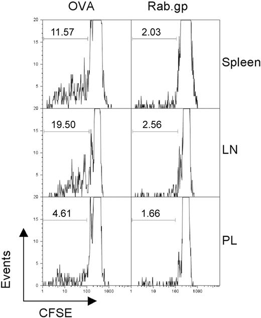 Figure 3. Vector persistence drives proliferation of antigen-specific T cells. C57Bl/6 Thy1.1 mice were immunized with 1010 vp of either AdC68NPOVA green fluorescent protein or AdC68rab.gp vector (3 mice per group). After 4 months, 3 × 107 CFSE-labeled splenocytes isolated from OT1 mice were transferred into each of the immunized mice. One week after transfer the mice were killed and lymphocytes were isolated from the indicated tissues, stained with anti-CD8 and anti-Thy1.2 to identify donor cells, and the amount of CFSE in those cells was determined by flow cytometry. The numbers within the graphs show the percent of cells with low CFSE staining as indicated by the gates.