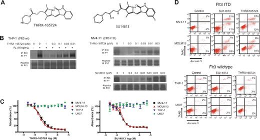 Figure 1. THRX-165724 and SU14813 are potent inhibitors of Flt3 autophosphorylation and induce apoptosis in AML cells with Flt3 ITD. (A) Chemical structure of THRX-165724 and SU14813. (B) Inhibition of Flt3 autophosphorylation with THRX-165724 and SU14813. MV4-11 cells were incubated with increasing concentrations of THRX-165724 and SU14813 for 30 minutes. THP-1 cells were incubated with increasing concentrations of THRX-165724 and Flt3 wild-type autophosphorylation was stimulated with FL (50 ng/mL for 5 minutes). Flt3 phosphorylation status was determined by Flt3 immunoprecipitation followed by SDS-PAGE and Western blot with an anti-phosphotyrosine antibody. (C) MTT assay. MV4-11, MOLM13, THP-1, and U937 cells were incubated with increasing concentrations of THRX-165724 and SU14813 for 72 hours. Cell viability and proliferation was assessed using the MTT assay. (D) Induction of apoptosis. MV4-11, MOLM13, THP-1, and U937 cells were incubated for 72 hours with THRX-165724 (300 nM) or SU14813 (100 nM). Apoptosis was assessed by staining with Annexin V-PE and 7-AAD. The percentage of cells in the upper right quadrant denote cells that stain positive for Annexin V and 7-AAD. The cells in the lower right quadrant stain positive for Annexin V only.