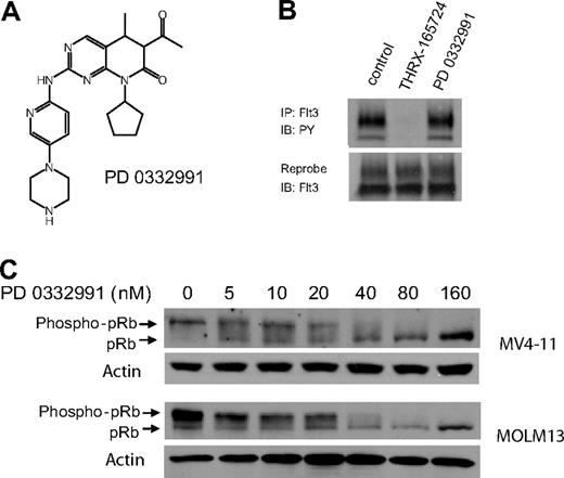Figure 3. PD0332991 is a potent inhibitor of CDK4/6 but does not inhibit Flt3 ITD. (A) Structure of PD0332991. (B) MV4-11 cells were incubated with DMSO (vehicle control), THRX-165724 (500 nM), and PD0332991 (500 nM) for 30 minutes. The cells were lysed, Flt3 ITD was immunoprecipitated, and an immunoblot was performed with an anti-phosphotyrosine antibody. The blot was subsequently stripped and reprobed with anti-Flt3. (C) Western blot. MV4-11 and MOLM13 cells were incubated with increasing concentrations of PD0332991 for 16 hours. Lysates were resolved by SDS-PAGE followed by immunoblotting with anti-pRb.