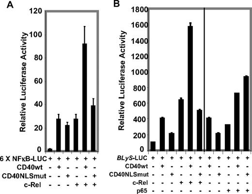 Figure 2. Nuclear CD40 synergistically enhance c-Rel–potentiated BLyS promoter activation in LBCL cells. (A) LBCL cells (FN) were cotransfected with 6xNF-κB-CD40L reporter and the expression vectors for c-Rel (pCMV-c-Rel, 5 μg), CD40wt (pcDNA3.1/myc/his-CD40, 5 μg), and CD40NLSmut (pcDNA3.1/myc/his-CD40NLSmut, 5 μg) indicated in the figure. After 24 hours, luciferase activity was determined and normalized for transfection efficiency using β-gal activity. The data are representative of 3 independent experiments. The error bars indicate the standard deviation of triplicate samples. (B) LBCL cells (FN) were cotransfected with BLyS-luciferase reporter and the expression vectors for c-Rel (pCMV-c-Rel, 5 μg), p65 (pCMVp65, 5 μg), CD40wt (pcDNA3.1/myc/his-CD40, 5 μg), and CD40NLSmut (pcDNA3.1/myc/his-CD40NLSmut, 5 μg) indicated in the figure. After 24 hours, luciferase activity was determined as described for panel A.