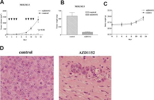 Figure 5. Effect of AZD1152 on the proliferation of MOLM13 cells in a murine xenograft model. MOLM13 cells were injected bilaterally subcutaneously into BALB/c nude mice, forming 2 tumors/mouse. After MOLM13 cells formed palpable tumors, mice were randomized into 2 groups (n=5) and treatment was initiated. AZD1152 (25 mg/kg per mouse) were administered to mice by intraperitoneal injection 4 times a week for 2 weeks. Control mice (n=5) were given control diluent. Tumor volumes were measured every week. Each point represents the mean ± SD of 10 tumors. (B) Tumor weights at autopsy. After 2 weeks of treatment, tumors were removed and weighed. Results represent mean ± SD of tumor weights. Statistical significance was determined by Mann-Whitney U test. Bars indicate SD. (C) Body weight of mice was measured twice a week during treatment. (D) Hematoxylin-eosin staining. Stained sections were examined and photographed with an Olympus BX50 (Olympus, Tokyo, Japan). MOLM13 tumors from mice treated with AZD1152 (right panel) showed extensive tumor necrosis with phagocytes (original magnification × 200). Diluent control displayed sheets of leukemia cells (left panel).