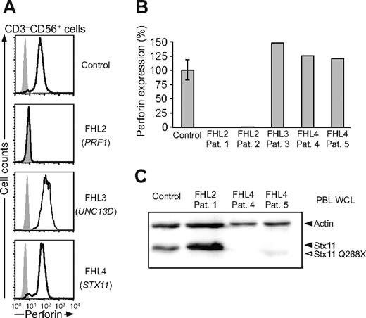 Figure 3. Expression of perforin and Stx11 in FHL patients. (A) PBLs were stained with fluorochrome-conjugated anti-CD3, and anti-CD56 mAbs. Thereafter, cells were fixed, permeabilized, stained with antiperforin mAb, and analyzed by flow cytometry. Histograms depict perforin expression in CD3−CD56+ NK cells. (B) Quantification of perforin staining by flow cytometry. Values represent relative mean fluorescence of perforin in CD3−CD56+ NK cells as percent of adult control cells. The error bar indicates the SD of normalized perforin expression for 12 healthy controls. (C) Stx11 expression relative to actin control was measured by immunoblotting. Arrowheads indicate bands corresponding to actin and Stx11 immunoreactivity.