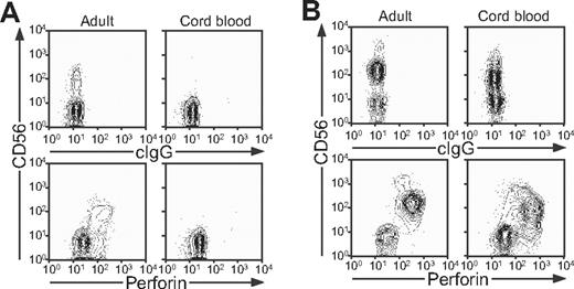 Figure 5. Perforin expression in adult and cord blood NK cells and T cells. Cells from adult peripheral and cord blood donors were stained with fluorochrome-conjugated anti-CD3 and -CD56 mAbs, followed by fixation, permeabilization, and intracellular staining with antiperforin mAb. Lymphocytes were gated on forward scatter/side scatter plots, followed by gating on CD3+ and CD3− cells. Profiles show (A) CD56 versus perforin mAb staining of CD3+ T cells and (B) CD56 versus perforin mAb staining of CD3− cells.