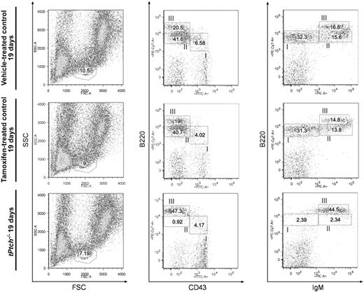 Figure 4. Early block of B-lineage commitment in the BM of tPtch−/− mice. BM cells from vehicle- and tamoxifen-treated control animals and of day-19 tPtch−/− mice were analyzed by flow cytometry using antibodies against B220, CD43, and IgM (middle and right panels) to distinguish pro-B (fraction I), pre-B (fraction II), and the pool encompassing immature, mature, and recirculating B cells (fraction III) within the lymphocyte gate defined by the SSC/FSC plots (left panels). Data represent 4 independent experiments (each experiment consisted of 1 vehicle-treated Ptchflox/floxERT2+/−, 1 tamoxifen-treated Ptchflox/floxERT2−/−, and 1 tPtch−/− mouse).