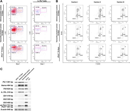 Figure 5. Early B-cell development is compromised at the CLP stage in tPtch−/− mice. (A) Lin− BM cells from vehicle- and tamoxifen-treated control animals and of day-19 tPtch−/− mice were analyzed by flow cytometry using antibodies against c-kit and Sca-1 (left panels). Fraction I (Lin−c-kithighSca-1−/low) contains mainly precursors of the myeloid lineages, fraction II (Lin−c-kitlowSca-1−/low) represents the CLP-containing compartment, and fraction III (Lin−c-kithighSca-1high) contains uncommitted HSCs and MPPs. The IL-7Rα+ cells within these fractions are shown in the right panels. Data are representative of 3 independent experiments (each experiment consisted of 1 vehicle-treated Ptchflox/floxERT2+/−, 1 tamoxifen-treated Ptchflox/floxERT2−/−, and 1 tPtch−/− mouse). (B) Three hours after intraperitoneal injection of BrdU, Lin− cells of control and day-19 tPtch−/− mice were isolated and labeled with 7-amino actinomycin D (7-AAD), and cells in fractions I to III (described in A) were analyzed by flow cytometry. Data are representative of 3 independent experiments (each experiment consisted of 1 vehicle-treated Ptchflox/floxERT2+/−, 1 tamoxifen-treated Ptchflox/floxERT2−/−, and 1 tPtch−/− mouse). (C) Lin− BM cells of vehicle- and tamoxifen-treated control animals and of day-19 tPtch−/− mice were isolated, and RT-PCR analysis was performed to monitor expression of the genes indicated on the left. cDNA obtained from day-12.5-old embryos (E12.5) served as positive control. ntc indicates no template control. White vertical lines have been inserted to indicate where a gel lane was cut. All lanes within each individual row are from one and the same experiment.