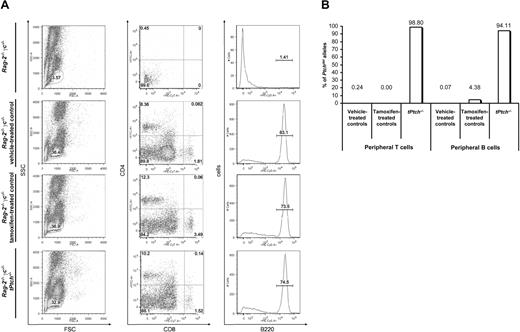 Figure 6. Specification defect of the lymphoid lineage in tPtch−/− mice is dependent on stromal BM cells. Lin− BM cells (400 000) from vehicle- and tamoxifen-treated control animals or day-19 tPtch−/− mice were injected intravenously into lethally irradiated Rag-2−/−γc−/− mice. After 7 weeks, peripheral blood cells were analyzed by flow cytometry (A). Cells within the lymphocyte gate (left panels) were analyzed by staining with antibodies against either CD4 and CD8 (middle panel) or B220 to identify T and B cells, respectively. Nonreconstituted Rag-2−/−γc−/− mice served as negative control (top row). The presence of inactivated Ptch alleles in T and B cells from reconstituted Rag-2−/−γc−/− mice was detected by quantitative PCR (B). Data are representative of 3 independent experiments (each experiment consisted of the transfer of Lin− BM cells derived from 1 vehicle-treated Ptchflox/floxERT2+/−, 1 tamoxifen-treated Ptchflox/floxERT2−/−, and 1 tPtch−/− mouse).