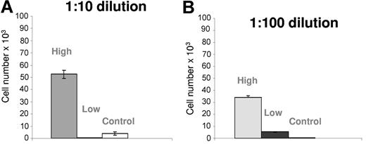 Figure 2. CMV-antigen high responders induce greater migration of PBMCs than CMV low responders. Results are shown as the mean transmigrated cell number per milliliter of 2 pooled sample sets. (A) Cell-migration results are shown from a 1:10 dilution of culture supernatants prepared from high- or low-responder donor CD4+ T-cell and endothelial cocultures. (B) Cell-migration results from a 1:100 dilution of culture supernatants from low and high responders. The highest levels of cell migration are seen with high-responder culture supernatants. For all samples, the background level of migration was subtracted. After subtracting background cell-migration values, results were then graphed as the mean (± SD).