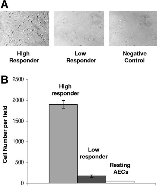 Figure 3. Adherence of PBMCs is greater in endothelial cells activated by high-responder coculture supernatants in contrast to those from low responders. (A) The micrograph panels created using phase contrast show the different levels of PBMC adherence associated with high- versus low-responder donor conditioned coculture medium. Many PBMCs have bound to the endothelial cells and are visible as small, bright, rounded refractile cells against the endothelial monolayer in the left panel compared with low-responder donor cocultures (center) and negative control (right). For image information, see Document S1 (available on the Blood website; see the Supplemental Materials link at the top of the online article. (B) PBMC adherence is higher for endothelial cells activated by high-responder coculture supernatants in contrast to those from low responders and resting AECs. For each sample, 3 microscope fields were counted for the number of bound PBMCs per field and are shown as the mean (± SD).