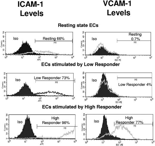 Figure 4. Higher levels of adhesion markers ICAM-1 and VCAM-1 are induced on endothelial cells (ECs) activated by high-responder coculture supernatants vs. low-responder supernatants. Endothelial monolayers were treated for 24 hours with one of the following: conditioned coculture medium from a representative high-responder donor, a representative low-responder donor, or RPMI 1640/10% FCS as negative control medium. Cells were then dissociated and collected in a single-cell suspension using a nonprotease-based approach, and flow-cytometry analysis was used to monitor the surface expression levels of adhesion markers VCAM-1 and ICAM-1. Results for VCAM-1 levels are shown in the right panels, where in the resting state 0.7% of the cells were positive for VCAM-1 (black line), and the isotype (Iso) control is indicated by a filled gray curve area that very closely follows the resting-state cell levels In endothelial cells maintained in low-responder conditioned medium, 4% were positive for VCAM-1 (line), and in those maintained in high-responder conditioned medium, 77% were positive (line). Results for ICAM-1 levels in the same sample are shown in the left panels, where 66% of resting-state endothelial cells were positive for ICAM-1 at a relatively low level (line), and 73% of the cells treated with low-responder conditioned medium were ICAM-1 positive (line). These ICAM-1 levels were slightly higher than those in the resting state. A total of 96% of the cells were ICAM-1 positive in cells treated with the high-responder conditioned medium (line), and many of these cells were expressing high levels of ICAM-1. Relative fluorescent intensity is represented on the x-axis, and the cell numbers as counts are shown on the y-axis.