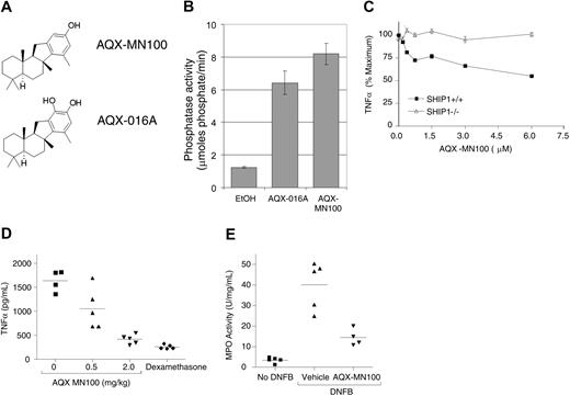 Figure 4. AQX-MN100 has the same biologic activities as AQX-016A. (A) Structures of AQX-MN100 and AQX-016A. (B) AQX-MN100 activates SHIP1 enzyme activity in vitro. Assays performed as in Figure 1A. (C) AQX-MN100 inhibits TNFα production from LPS stimulated SHIP1+/+ but not SHIP1−/− BMmφs. Cells and treatments were as described in Figure 2A. (D) AQX-MN100 inhibits LPS-induced plasma TNFα levels in mice. Mice were treated as in Figure 2E. (E) AQX-MN100 inhibits DNFB-induced neutrophil-specific myeloperoxidase (MPO) in sensitized mice. Mice were sensitized as in Figure 2F, and vehicle or AQX-MN100 applied to pairs of ears prior to DNFB challenge. Some mice were not challenged with DNFB (no DNFB). Ears were harvested, and MPO levels were determined. P < .02 for the AQX-MN100 versus the vehicle-treated groups. Data are expressed as the mean (±SEM) and are representative of 3 independent experiments.