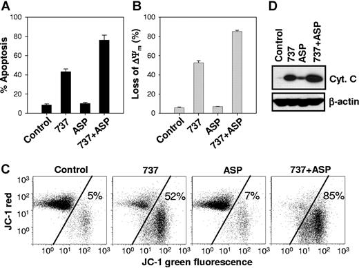 Figure 3. ABT-737 plus L-ASP caused enhanced apoptosis, mitochondrial membrane depolarization, and release of mitochondrial cytochrome c. Annexin V–FITC and JC-1 assay. COG-LL-317 cells were incubated with ABT-737 (2.5 μM), L-ASP (2.5 IU/mL), or the combination for 6 hours. Then, cells were incubated with annexin V–FITC and PI (A) or JC-1 (B,C) and analyzed by flow cytometry. (A) Bars show the percentage of cells that were annexin V–FITC+/PI−, defined as apoptotic, and error bars represent standard deviation. (B) The loss of Δψm by ABT-737, L-ASP, or ABT-737 + L-ASP was measured by flow cytometry using the JC-1 mitochondrial probe. The bars show the percentage of mitochondrial membrane–depolarized cells. (C) Cytograms showing representative JC-1 assays for mitochondrial membrane potential. The transition of red fluorescence to green indicates mitochondrial membrane depolarization by the drug(s). The values represent the percentage of mitochondrial membrane-depolarized cells. Total number of events analyzed for each condition was 10 000. (D) Cytochrome c release after drug treatment. Cytosolic extracts from COG-LL-317 that had been incubated for 6 hours with ABT-737 (2.5 μM), L-ASP (2.5 IU/mL), or both drugs in combination were prepared and immunoblotted with cytochrome c antibody. The blot shown is representative of 2 separate experiments.