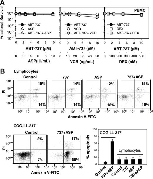 Figure 4. Cytotoxicity of ABT-737 plus vincristine, dexamethasone, or L-ASP in PMBCs. (A) Dose-response curves of PBMCs to ABT-737 (●), L-ASP (△), vincristine (VCR; ○), dexamethasone (DEX; □), and the combinations (gray symbols). The concentrations of ASP used for PBMCs were increased to 1 to 10 IU/mL to assure examination of cytotoxicity in clinically achievable concentrations. Each condition had 12 replicates, and error bars represent standard deviation. (B) Cells (COG-LL-317 and PBMCs) were incubated with ABT-737 (2.5 μM), ASP (1 IU/mL), or the combination for 6 hours. Then, apoptosis assessed with annexin V and PI staining measured by flow cytometry. COG-LL-317 cells were used as positive controls. For PBMCs, apoptosis was assessed only in lymphocytes that fell within a standard forward- and side-scatter lymphocyte gate. Cells that were annexin V–FITC+, PI− were defined as apoptotic. The bar graph shows the percentage of cells in apoptosis, and the values represent means (± SD) of 3 samples, and the experiments were repeated twice. Apoptosis in COG-LL-317 for ABT-737 + L-ASP was significantly higher than control (P < .001), while neither single agents nor ABT-737 + L-ASP induced significant apoptosis in lymphocytes.