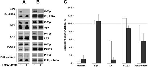 Figure 3. Identification of platelet substrates for LMW-PTP. FcγRIIA, Syk, LAT, and PLCγ2 were immunoprecipitated from platelets stimulated by clustering of FcγRIIA (2 μg/mL IV.3 monoclonal antibody and 30 μg/mL antimouse F(ab′)2 fragments), while FcR γ-chain was immunoprecipitated upon platelet stimulation with 100 ng/mL convulxin. Immunoprecipitated proteins were separated by SDS-PAGE and transferred to nitrocellulose. Membranes were then incubated in the absence or presence of purified LMW-PTP for 30 minutes (A). Alternatively, the immunoprecipitated proteins immobilized on protein A–Sepharose were incubated in the absence or presence of purified LMW-PTP for 30 minutes and subsequently separated by SDS-PAGE (B). The level of tyrosine phosphorylation of the immunoprecipitated proteins was then evaluated by immunoblotting with antiphosphotyrosine antibody, and, upon stripping, each membrane was reprobed with the same antibody used for the immunoprecipitation, as reported on the right of each panel. In panel C, a quantification of the residual phosphorylation of the analyzed substrates after incubation with LMW-PTP on nitrocellulose (□) or in solution (■) is reported. The level of phosphorylation of each single protein in the absence of LMW-PTP is taken as 100%. The data are reported as mean plus or minus SD of 3 to 5 different experiments for each protein.