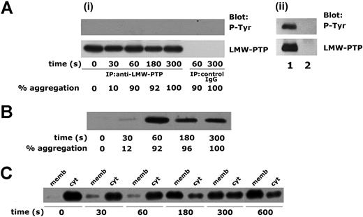 Figure 4. Regulation of LMW-PTP in FcγRIIA-stimulated platelets. (Ai). Platelets were stimulated in a lumiaggregometer by clustering of FcγRIIA (2 μg/mL IV.3 monoclonal antibody and 30 μg/mL antimouse F(ab′)2 fragments) for increasing times. Upon immunoprecipitation with the specific antibody against LMW-PTP, or with unrelated IgG used as negative control, the level of tyrosine phosphorylation was investigated by immunoblotting, as indicated on the right. The percentage of platelet aggregation measured in each stimulated sample is reported on the bottom. (ii) Lysates from v-src–transformed NIH3T3 cells were immunoprecipitated with anti–LMW-PTP antibody (lane 1) or with control, unrelated IgG (lane 2). Immunoprecipitated proteins were analyzed by immunoblotting with antiphosphotyrosine antibody (P-Tyr, top panel) and with anti–LMW-PTP antibody (bottom panel). (B) Platelet stimulation by clustering of FcγRIIA was performed in a lumiaggregometer, and was stopped at the indicated times. Upon cell lysis, the intracellular cytoskeleton was isolated as Triton-X-100–insoluble material. The association of LMW-PTP with the cytoskeleton was analyzed by immunoblotting with anti–LMW-PTP polyclonal antibodies. The figure also shows the percentage of platelet aggregation measured in each sample. (C) Cytosol (cyt) and membrane-rich fractions (memb) were separated from platelets stimulated by clustering of FcγRIIA for the indicated times. The subcellular redistribution of LMW-PTP was investigated by immunoblotting with the specific polyclonal antibodies. All these experiments have been repeated at least 3 times.