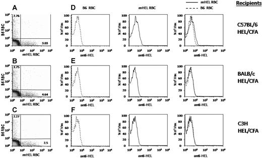 Figure 2. Antigen loss occurs in multiple different murine strains. C57BL/6, BALB/c or C3H mice were actively immunized with HEL/CFA. Mice were transfused with a mixture of mHEL RBCs labeled with DiI and C57BL/6 RBCs labeled with DiO. Four days after transfusion, peripheral blood was obtained and stained with polyclonal anti-HEL antiserum followed by fluorescently labeled anti–mouse IgG; anti-HEL staining was measured by flow cytometry. (A-C) Numbers in the upper left and lower right quadrants represent the percentage of circulating transfused B6 or mHEL RBCs, respectively. (D-F) B6 and mHEL histograms are shown individually and then overlaid. This experiment was reproduced 3 times with similar results. Representative flow plots and histograms are shown.