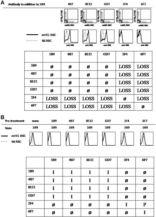 Figure 4. Antigen-loss requires the simultaneous binding of antibodies with different epitope specificities. (A) C57BL/6 mice were injected with the indicated combinations of monoclonal antibodies. Mice were transfused with a mixture of mHEL RBCs labeled with DiI and C57BL/6 RBCs labeled with DiO. Six days after transfusion, peripheral blood was obtained and stained with polyclonal anti-HEL antiserum followed by fluorescently labeled anti–mouse IgG; anti-HEL staining was measured by flow cytometry. The combinations are arranged to maximize functional groupings of antibodies, and a complete table is presented that shows each condition twice but allows easier pattern analysis. Antigen loss is designated as “LOSS,” whereas no antigen loss is indicated by “ø.” The outcome of combining an antibody with itself, which is the same as injecting the antibody alone, was taken from the data with isolated antibodies in Figure 3. This experiment was reproduced in its entirety 2 times with identical results. Additional experiments tested smaller groups of antibody combinations with identical findings. (B) Each monoclonal antibody was directly conjugated to Alexa Fluor 647. mHEL RBCs were preincubated with the indicated unconjugated monoclonal antibodies followed by staining with the indicated conjugated antibodies. Blocking by unconjugated antibodies was measured by flow cytometry. Blocking in both directions is defined as epitope identity (I), failure to block as nonidentity (ø), and blocking in only one direction as partial identity (P). This experiment was reproduced 2 times with identical results.