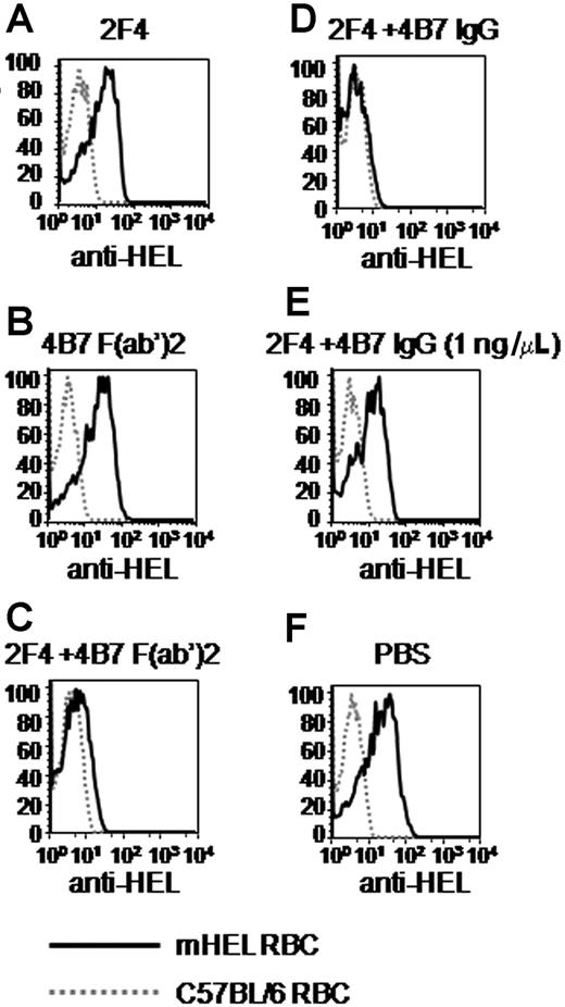Figure 6. The requirement for multiple antibodies binding different epitopes is not due to increased numbers of Fc domains on the RBC surface. A mixture of mHEL RBCs labeled with DiI and C57BL/6 RBCs labeled with DiO was incubated in vitro with the indicated monoclonal antibody and/or F(ab′)2 fragment combinations or PBS. After 30 minutes, the mixtures were transfused into C57BL/6 mice. Peripheral blood was obtained 3 days later, stained with polyclonal anti-HEL antisera followed by fluorescently labeled anti–mouse κ light chain, and anti-HEL staining was measured by flow cytometry. This experiment was reproduced 3 times with identical results. Representative histograms are shown.