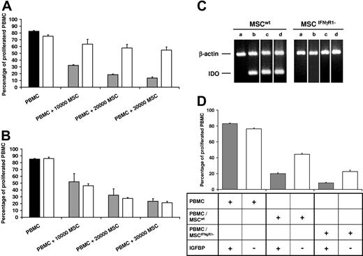Figure 2. MSCwt and MSCIFNγR1- inhibit proliferation of PBMCs in the absence of IDO—contribution of IGFBPs. Proliferation of HLA-mismatched PBMCs in the absence (■) or presence (▩) of MSCwt compared with PBMCs in the presence of 1 mM of the IDO inhibitor 1-methyltryptophan (□). (A) 1-methyltryptophan partially restored the proliferation of PBMCs cocultured with MSCwt (representative of n = 5). (B) By contrast, 1-methyltryptophan had no effect on cocultures of MSCIFNγR1− and PBMCs (representative of n = 3). (C) RT-PCR of RNA isolated from MSCs. IDO was not constitutively expressed (lane a) in either MSCwt or MSCIFNγR1−. IDO was induced in MSCwt when they were cocultured with PBMCs in the presence of IL-2 and OKT3 (lane b, separated by a semipermeable membrane; lane c, in direct cell-cell contact) or when IFNγ was added (lane d) (representative of n = 3). (D) IL-2/OKT3-induced proliferation of PBMCs in media conditioned by PBMCs alone, by cocultures of MSCwt/PBMCs or by MSCIFNγR1−/PBMCs, respectively, for 3 days. Media conditioned by MSCwt/PBMCs and by MSCIFNγR1−/PBMCs inhibited proliferation of PBMCs (▩). Inhibition was partially reverted by depletion of free IGFBP from the media of both cocultures, MSCwt/PBMCs and MSCIFNγR1−/PBMCs (□) (representative of n = 3). Data are shown as means of triplicates (±SD) of one representative experiment.