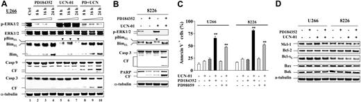 Figure 1. PD184352 blocks UCN-01–mediated BimEL phosphorylation and down-regulation in human MM cells. (A) U266 cells were exposed to 100 nM UCN-01 ± 5 μM PD184352, and at the indicated intervals the cells were harvested and subjected to Western blot analysis to monitor phosphorylation of ERK, expression of Bim, as well as cleavage of caspase-9 and -3. (B) RPMI8226 cells were treated with 150 nM UCN-01 plus or minus 5 μM PD184352 for 24 hours, after which Western blot analysis was performed to assess ERK activation, BimEL phosphorylation, and cleavage of caspase-3 and PARP. (C) U266 and RPMI8226 were exposed to UCN-01 (U266, 100 nM; RPMI8226, 150 nM) plus or minus PD184352 (5 μM) or PD98059 (50 μM) for 24 hours (RPMI8226) or 40 hours (U266), after which the percentage of apoptotic cells (annexin V+) was determined by flow cytometry as described in “Materials and methods.” Results represent the means (± SD) for 3 separate experiments performed in triplicate. **Significantly greater than the value for cells treated with UCN-01 alone (P < .001). (D) U266 and RPMI8226 cells were treated as described for panel C, after which cells were lysed and subjected to Western blot analysis to examine expression of other Bcl-2 family members using the indicated primary antibodies. For panels A, B and D, each lane was loaded with 20 μg protein; the blots were subsequently stripped and reprobed with antitubulin antibody to ensure equal loading and transfer. Phosphorylated forms of BimEL are manifested by slowly migrating species (arrows). CF indicates cleavage fragment. Two additional studies yielded equivalent results.