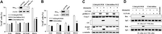 Figure 4. BimEL knockdown by shRNA prevents conformational change of Bax/Bak and apoptosis in cells coexposed to PD184352/UCN-01. (A) U226 cells were stably transfected with constructs encoding shRNA against human Bim (shBim) or scrambled shRNA (pSUPER) as control, respectively, after which stable clones (1 for pSUPER control and 2 for shBim, designed W4 and W12) were obtained by selection with puromycin. Western blot analysis was performed to monitor down-regulation of Bim expression in both shBim clones (inset). Cells were then exposed to 100 nM UCN-01 plus or minus 5 μM PD184352 for 40 hours, after which the percentage of dead cells (7-AAD+) was determined by 7-AAD staining and flow cytometry. (B) Parallel studies were performed in RPMI8226. 8226/pSUPER and 8226/shBim cells were treated with 150 nM UCN-01 plus or minus 5 μM PD184352 for 24 hours, and the content of dead cells was determined. For panels A and B, the results represent the means (± SD) for 3 separate experiments performed in triplicate. **Significantly lower than the value for pSUPER control cells with same treatment (P < .001 for both panels). (C) U266/shBim and U266/pSUPER cells were treated as described for panel A, after which cells were lysed and subjected to Western blot analysis to assess phospho-ERK1/2 expression, caspase-3 cleavage, and PARP degradation. CF indicates cleavage fragment. Each lane was loaded with 20 μg protein; blots were stripped and reprobed with antitubulin antibodies to ensure equal loading and transfer. Two additional studies yielded equivalent results. (D) Alternatively, cells were lysed and subjected to immunoprecipitation (IP) with Bax 6A7 or Bak Ab-1 and then WB using anti-Bax or anti-Bak to monitor the conformational change of Bax and Bak as described for Figure 3C; 200 μg protein per condition was employed for IP. IgG levels are shown to ensure equal loading and transfer. The results of representative experiments are shown; 2 additional studies yielded equivalent results.