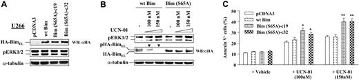 Figure 5. Mutation of serine 65 on Bim confers resistance to UCN-01–mediated phosphorylation/degradation and sensitizes MM cells to UCN-01 treatment. (A) U266 cells were stably transfected with HA-tagged mouse wt and serine 65 mutant (S65A) Bim constructs or its empty vector (pCDNA3). The stable clones (1 for empty-vector control and wt Bim each and 2 for S65A mutants designated c19 and c32) were obtained by selection with G418. WB was performed to monitor expression of HA-tagged target proteins as well as phospho-ERK expression in these cells. (B) U266/wt Bim and U266/S65A Bim cells were exposed to 100 nM and 150 nM UCN-01 for 36 hours, after which ERK1/2 phosphorylation and HA-tagged Bim expression were monitored by WB. Each lane was loaded with 20 μg protein; blots were stripped and reprobed with antitubulin antibody to ensure equal loading and transfer. Phosphorylated forms of BimEL are manifested by slowly migrating species (▼). Two additional studies yielded equivalent results. (C) Cells were treated as described for panel B, after which the percentage of apoptotic cells (annexin V+) was determined by annexin V–FITC staining and flow cytometry. Results represent the means (± SD) for 3 separate experiments performed in triplicate.*Significantly greater than the value for wt Bim-transfected cells with the same treatment (*P < .05 and **P < .01).