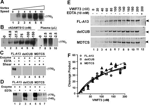 Figure 2. Proteolytic cleavage of VWF and VWF73 under flow or static condition by ADAMTS13 and C-terminal truncated variants. (A) Rotation speed–dependent cleavage of VWF by ADAMTS13. Native plasma VWF (37.5 μg/mL or 150 nM) was incubated with ADAMTS13 (about 60 nM) for 1 minute and then vortexed for 3 minutes at 22°C at rotation speeds from 0 to about 3200 rpm (set at “0-10”). (B) Dose-dependent cleavage of VWF by ADAMTS13. VWF (18.75 μg/mL or 75 nM) was vortexed for 3 minutes without (lanes 1 and 7) or with various concentrations of rADAMTS13 (lane 2-6) or 2.5 μL of normal human plasma with 30 μg/mL (lane 8) or 60 μg/mL (lane 9) heparin or TTP patient plasma (lane 10). (C) Cleavage of VWF by ADAMTS13 and variants. VWF (18.75 μg/mL or 75 nM) was incubated and vortexed for 3 minutes without (−) or with (+) about 60 nM of FL-A13, delCUB, and MDTCS in absence (−) or presence (+) of 10 mM EDTA. (D) Cleavage of guanidine-HCl–denatured VWF by ADAMTS13 and variants. Denatured VWF (37.5 μg/mL or about 150 nM) was incubated without (−) or with (+) about 60 nM of purified FL-A13, delCUB, and MDTCS in absence (−) or presence (+) of 10 mM EDTA for 1 hour. All the reactions above were quenched by addition of SDS sample buffer and heated at 100°C for 5 minutes. The cleavage product (dimer of 176 kDa) was determined by Western blot with peroxidase-conjugated rabbit anti-VWF IgG, followed by chemiluminescent ECL reagents. The signal was obtained by exposure to X-ray film within 5 to 30 seconds. (E) Cleavage of GST-VWF73-H by ADAMTS13 and variants. GST-VWF73-H at various concentrations (0 to 200 nM) was incubated with about 60 nM of FL-A13, delCUB, and MDTCS for 10 minutes at 37°C. The cleavage product (34.4 kDa, arrowheads indicated) was determined by Western blot with rabbit anti-GST IgG and Alexa Fluor680–conjugated antirabbit IgG. (F) The plot of the fluorescent signal; obtained by Odyssey infrared fluorescent image system against concentrations of GST-VWF73 substrate.