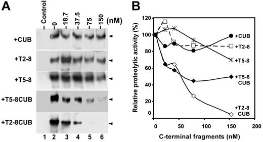 Figure 7. Inhibition of VWF proteolysis by ADAMTS13 under flow by the C-terminal fragments of ADAMTS13. (A) The C-terminal fragments block cleavage of VWF by ADAMTS13. Purified VWF (18.75 μg/mL or 50 nM) was incubated 10 mM EDTA (control) or 0 to 150 nM of CUB, T2-8, T5-8, T5-8CUB, and T2-8CUB (lanes 2-6) for 60 minutes. ADAMTS13 (50 nM) was then added into the reaction mixture in presence of 50 mM HEPES buffer containing 0.25% BSA, 5 mM CaCl2, and 0.25 mM ZnCl2 (total volume, 20 μL) in a 0.2 mL PCR tube with dome caps. The reaction mixture was subjected to vortexing at a fixed rotation rate of about 2500 rpm (set “8”) for 3 minutes on a mini vortexer. The cleavage of VWF was determined by Western blot with anti-VWF IgG, peroxidase conjugated anti–rabbit IgG and ECL reagents (arrowheads indicate the dimers of 176 kDa). (B) Quantitation of chemiluminescent signal. The signal on X-ray film within the 30 seconds to 1 minute was quantified by densitometry using NIH ImageJ software. The relative proteolytic activity of ADAMTS13 (%) after being inhibited by various C-terminal fragments was plotted against the concentrations of C-terminal fragments of ADAMTS13 added into the reaction.