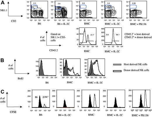 Figure 1. Rapid restoration of NK-cell numbers and function following irradiation and marrow grafting by IL-2 complex treatment. Irradiated bone marrow recipient mice (BMC mice) and (nonirradiated) B6 control mice were treated with IL-2 complex (IL-2C) on day 2 and day 4 after bone marrow transfer. (A) Spleen cells were analyzed on day 8 after bone marrow transfer and percentage of donor and host-derived cells, displayed in the histogram, was determined through congenic markers. (B) BrdU (2 mg) was injected intraperitoneally on day 5 after bone marrow transplantation, following treatment with IL-2 complex on day 2 and day 4. Animals were killed 10 hours after BrdU injection, and BrdU incorporation by NK1.1+CD3− cells in the spleen was determined. (C) A mix of CFSE-low B6 and CFSE-high β2M−/− splenocytes was transferred into control or B6 BMC mice and NK-mediated in vivo killing determined 48 hours later.