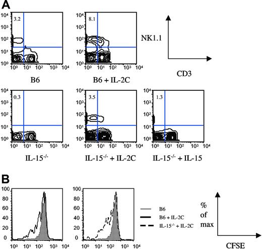 Figure 2. IL-2 complex rapidly expands the NK compartment from immature precursors in IL-15−/− mice. (A) B6 or IL-15−/− mice received injections of IL-2 complex or IL-15 on day 0 and day 2 and spleens were analyzed on day 3. (B) Mice received congenically marked, NK1.1+CD3−-enriched splenocytes on day 0 and IL-2 complex injections on day 0 and day 2. Proliferation was measured by CFSE dilution on day 3.