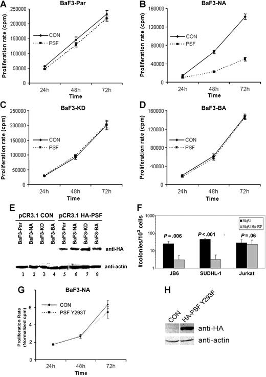 Figure 6. PSF overexpression reduces the growth rate and clonogenic potential of NPM/ALK-expressing cells. BaF3-Par (A), BaF3-NA (B), BaF3-KD (C), and BaF3-BA (D) cells were transiently transfected with pCR3.1 encoding HA-PSF (PSF) or with empty vector (CON). Cell proliferation was measured by 3H-thymidine incorporation at 24, 48, and 72 hours after transfection. Results are shown as the mean (± SD) and are representative of 3 independent experiments. (E) Expression of HA-PSF was verified by Western blotting using anti-HA antibody at 72 hours, and protein loading was controlled by antiactin Western blotting. (F) The NPM/ALK+ cell lines, JB6 and SUDHL-1, and the NPM/ALK− cell line, Jurkat, were transduced with the MigR1-HA-PSF construct (▩), or the MigR1 retrovirus alone (■). Cells were selected for GFP positivity, and clonogenic potential was measured by colony formation in methylcellulose. Results are expressed as the mean (± SEM) of 3 independent clonogenic assays. Significance was determined by comparing MigR1 alone versus MigR1-HA-PSF in a 2-tailed paired samples t test. (G) BaF3-NA cells were transiently transfected with pCR3.1 encoding HA-Y293T PSF or with empty vector (CON). Error bars are standard deviation. (H) Transfection efficiency was controlled by anti-HA immunoblotting at 48 hours in control (CON) and HA-PSF Y293F samples loaded on the same gel. Total protein loading was controlled by antiactin immunoblotting.