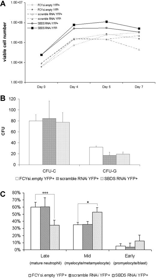 Figure 2. Sbds RNAi impairs in vitro granulocytic cell differentiation. Murine bone marrow cells were transduced with the indicated lentivirus, sorted for YFP expression, and either plated in suspension cultures containing SCF and G-CSF (A, C) or methylcellulose (B). (A) The number of viable cells was measured on initiation of the culture (day 0) and at the indicated times (representative of 3 independent experiments). (B) The number of CFU-Cs and CFU-Gs per 1000 c-Kit+, lineage− cells is shown (n = 3-5). (C) After 7 days in vitro granulocytic differentiation, cells were resorted based on YFP expression, and leukocyte differentials were performed (n = 2-4). *P ≤ .05, ***P ≤.005. All data represent the mean (± SD).