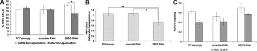 Figure 4. Reduction in Sbds impairs HPC homing to the bone marrow. Bone marrow cells were transduced with the indicated lentivirus and transplanted into irradiated mice. (A) Bone marrow cells before transplantation and harvested from recipient mice 24 hours after transplantation were plated in methylcellulose, and the percentage of CFU-Cs that expressed YFP was determined. (B) Homing efficiency was measured as the ratio of after transplantation to before transplantation YFP+ CFU-Cs (n = 7-8). (C) A transwell migration assay was performed on transduced lineage− bone marrow cells. Shown is the percentage of YFP+ and YFP− CFU-Cs that migrated in response to CXCL12α (n = 3). *P ≤ .05, **P ≤ .01. All data represent the mean plus or minus SEM.