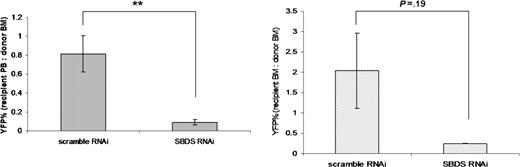 Figure 6. Sbds RNAi inhibits secondary transplant engraftment. Bone marrow was harvested from primary transplant recipients 6 months after transplantation (n = 3), pooled, and transplanted into secondary recipients. The percentage of YFP+ leukocytes in the (A) blood (n = 8) and (B) bone marrow (n = 2-3) was measured at 6 weeks. Data are presented as the ratio of the percentage of YFP+ cells in the peripheral blood (A) or bone marrow (B) of the recipient to the percentage of YFP+ cells in the bone marrow of the donor (average ± SEM). **P ≤ .01.