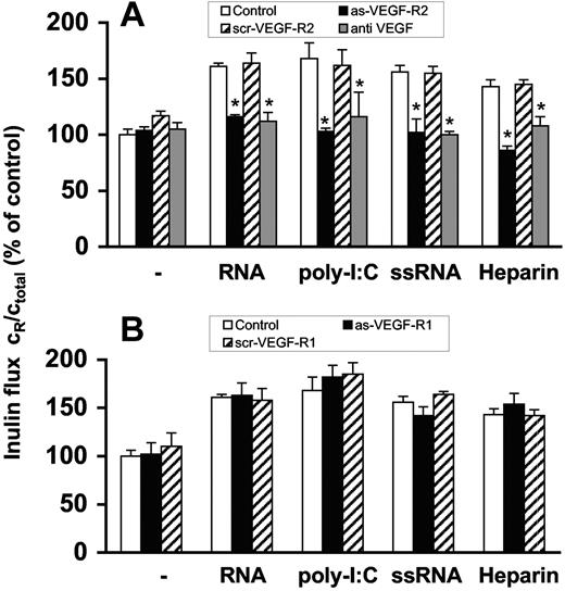 Figure 3. Induction of endothelial-cell permeability by RNA is mediated via VEGF. Confluent BMEC cultures were preincubated for 2 days with (A) antisense oligonucleotide to VEGF-R2 (as-VEGF-R2; 2 μM) or the scrambled nonsense oligonucleotide (scr-VEGF-R2; 2 μM). Permeability changes were analyzed in the absence of additives (−) or following treatment with RNA (50 μg/mL), poly-I:C (25 μg/mL), ssRNA (0.25 μg/mL), or heparin (10 μg/mL), and additionally in the presence of anti-VEGF antibody (10 μg/mL). Values represent the mean (± SEM; n = 24). *P < .05 compared with the corresponding control. (B) Alternatively, BMEC cultures were preincubated for 2 days with the antisense oligonucleotide to VEGF-R1 (as-VEGF-R1; 2 μM) or the scrambled nonsense oligonucleotide (scr-VEGF-R2; 2 μM) and treated as before. Flux determined after 3 hours in the absence of any added compound was set to 100%, and values represent the mean (± SEM; n = 9) for each condition. *P < .05 compared with the corresponding control value.