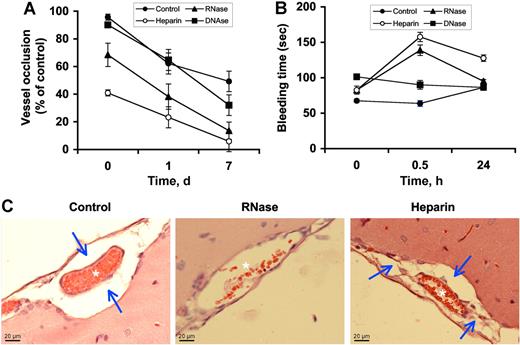 Figure 5. Influence of RNase pretreatment on venous thrombosis in rats. Vessel occlusion was induced by FeCl3 exposure to the superior sagittalis sinus. At 30 minutes prior to the start of the experiment, animals were pretreated with either saline (Control), RNase, DNase, or heparin, respectively. At different time points after induction of thrombosis, (A) vessel occlusion rate and (B) bleeding times were determined. Values are expressed as the mean (± SEM; n = 12 for each animal group). (C) Hematoxylin-eosin staining of paraffin-embedded brain sections prepared from saline-treated (control), RNase-treated, or heparin-treated rats, respectively, was performed. Note the occluded vessel (✶) and massive perivascular edema formation (→) in the control, whereas in the RNase treatment group, greatly reduced vessel occlusion (✶) and hardly any edema were seen. In the heparin treatment group, no vessel occlusion (✶) is seen, whereas edema formation (→) remained. Slides were inspected with a DMRB Leica microscope, magnification was 40×/1.00-0.5 NA objective. Images were taken using a digital camera DFC300FX and image-acquisition software IM500 form Leica.