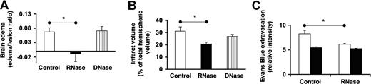 Figure 6. Influence of RNase on brain edema in a stroke model in rats. Middle cerebral artery occlusion was induced in rats using the endovascular suture occlusion technique. Prior to occlusion, animals were pretreated with either saline (control), RNAse, or DNase, respectively. (A) Hemispheric brain water content was measured using a wet-dry method, and the increase of brain water content of the ischemic hemisphere in relation to lesion volume was calculated (edema-lesion ratio); values represent the mean (± SEM; n = 10 in each animal group). (B) Ischemic lesion/infarct volume was determined by MRI (expressed as percentage of the volume of the hemisphere); values represent the mean (± SEM; n = 10 in each animal group). (C) To follow vescular leakage, Evans Blue extravasation following transient middle cerebral artery occlusion for 90 minutes was analyzed in the infarcted area (□) and in the corresponding contralateral hemisphere (■). Values represent the mean (± SEM; n = 5) in each panel. *P < .05.
